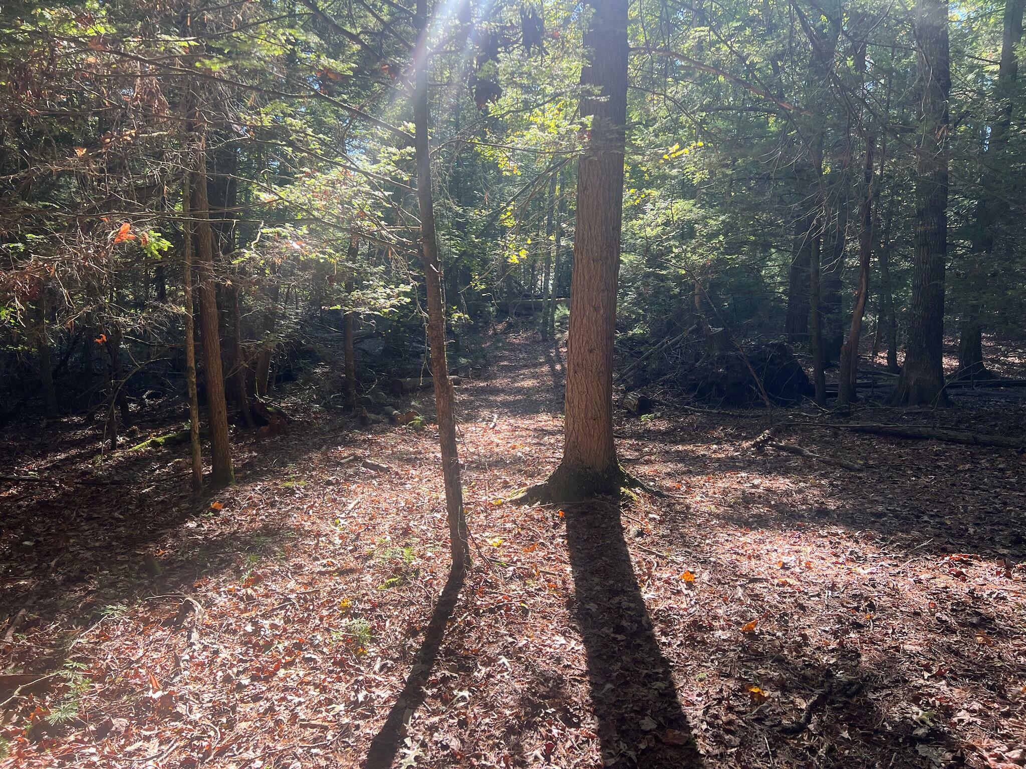 Property Photo:  Old Asbury Trace Lot 24  WV 24910 