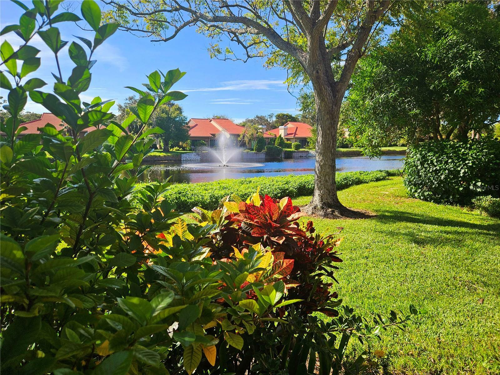 5027 Kestral Park Drive 64  Sarasota FL 34231 photo