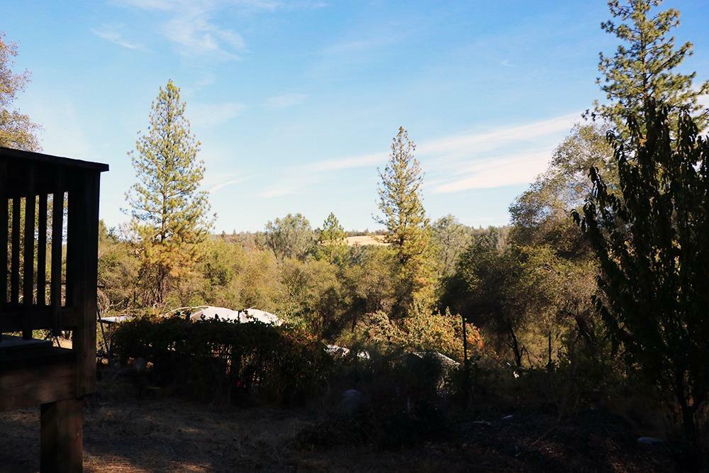 Property Photo:  155 Tiger Lily Road  CA 95664 