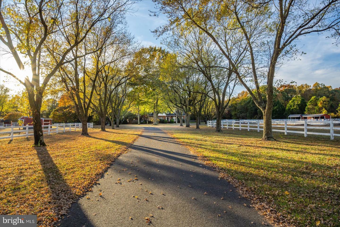 Property Photo:  8942 Williams Mill Pond Road  MD 21875 