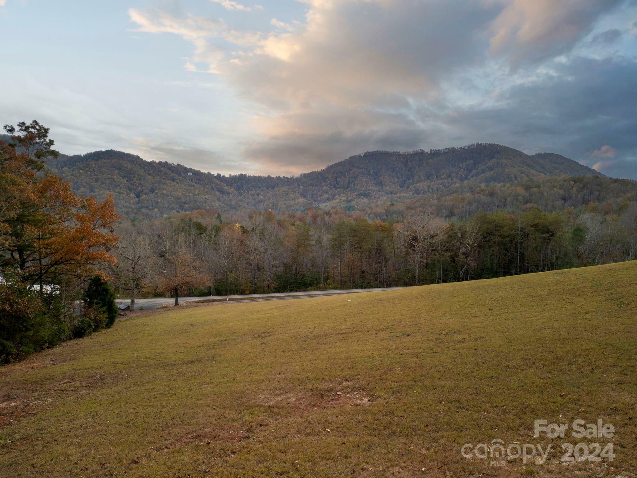 Property Photo:  99999 Davistown Church Road  NC 28762 