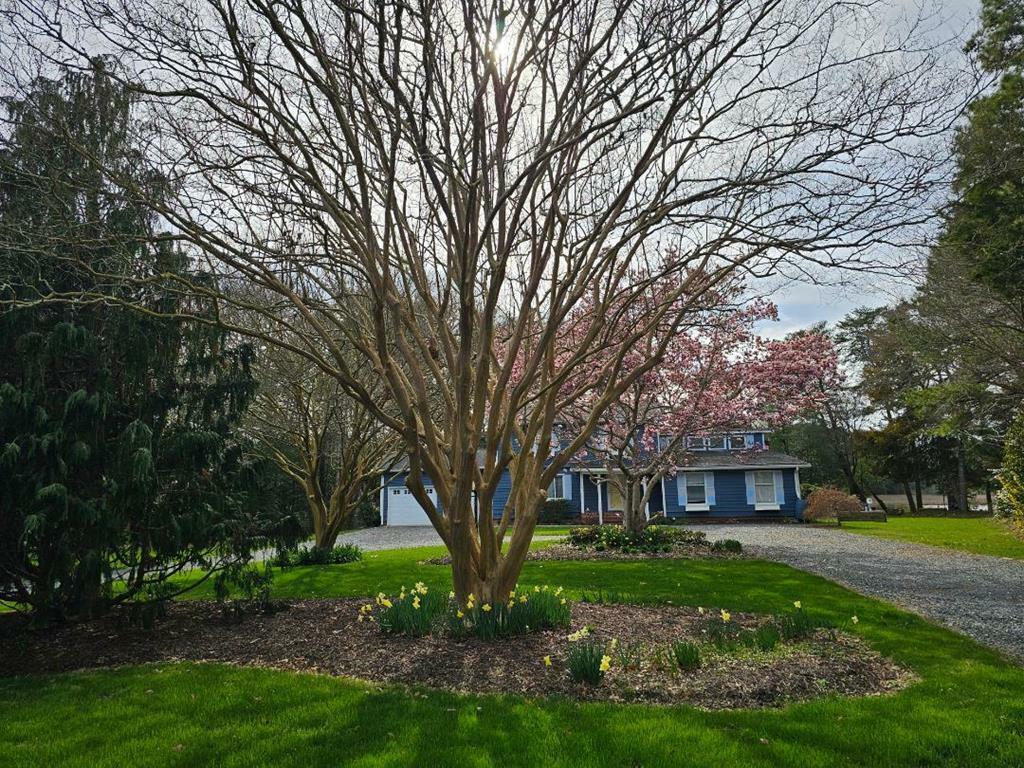 10388 Highland Ct  Exmore VA 23350 photo