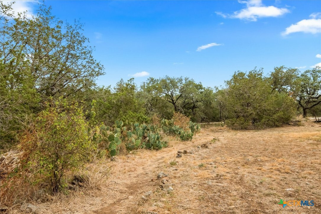 Property Photo:  1600 Alpine Trail  TX 78666 