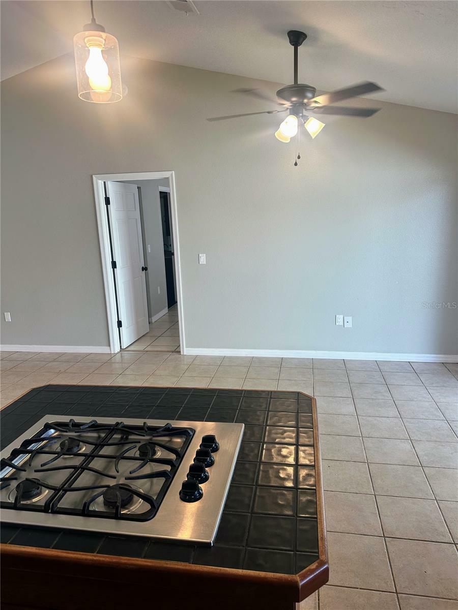 Property Photo:  15245 Myrtle Street  FL 33523 