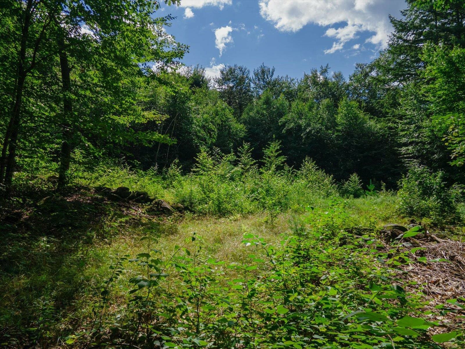 Property Photo:  Cobb Meadow Road  NH 03444 