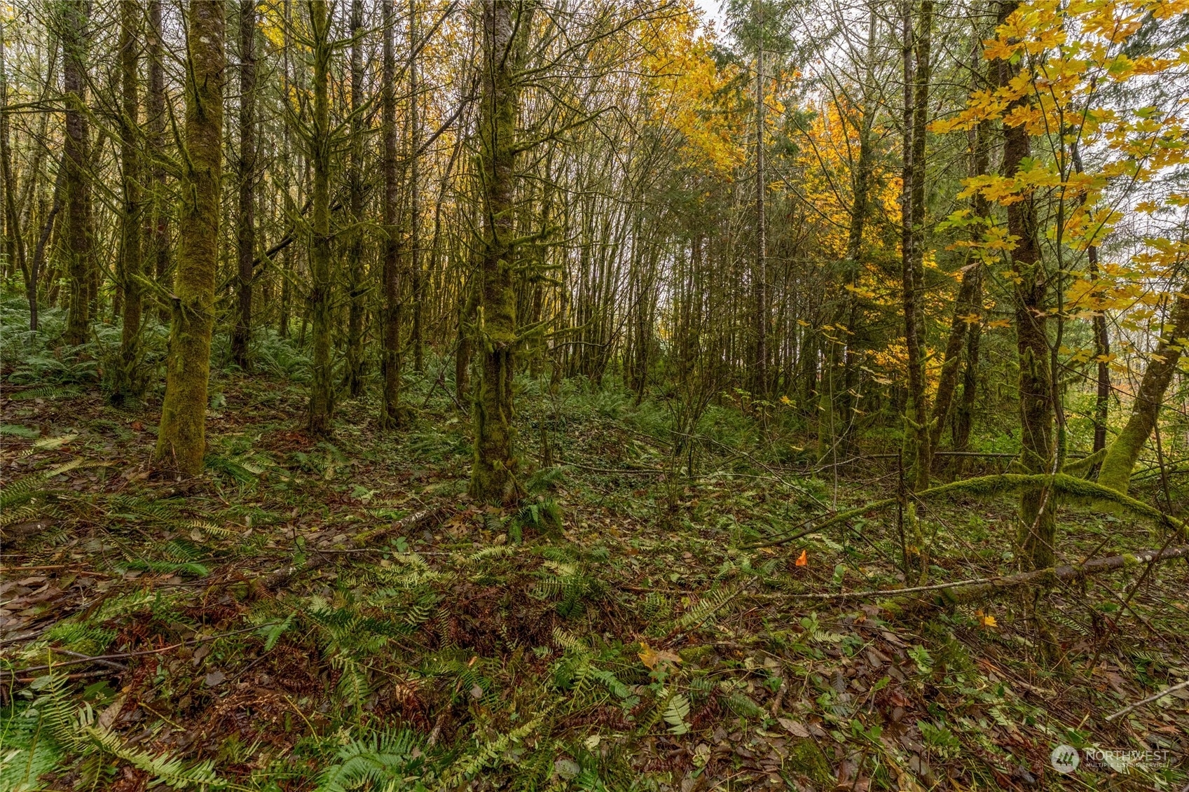 Property Photo: 3007 Stella Rd WA 98632