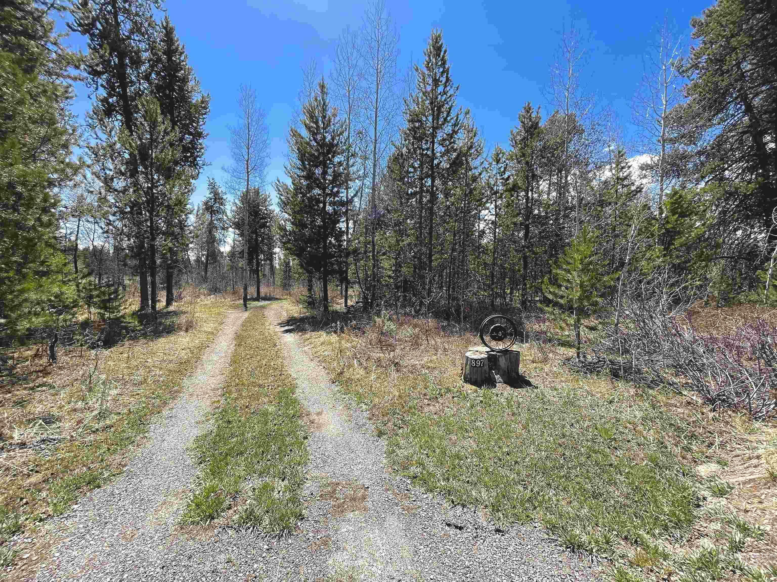 Property Photo:  897 W Roseberry  ID 83615 