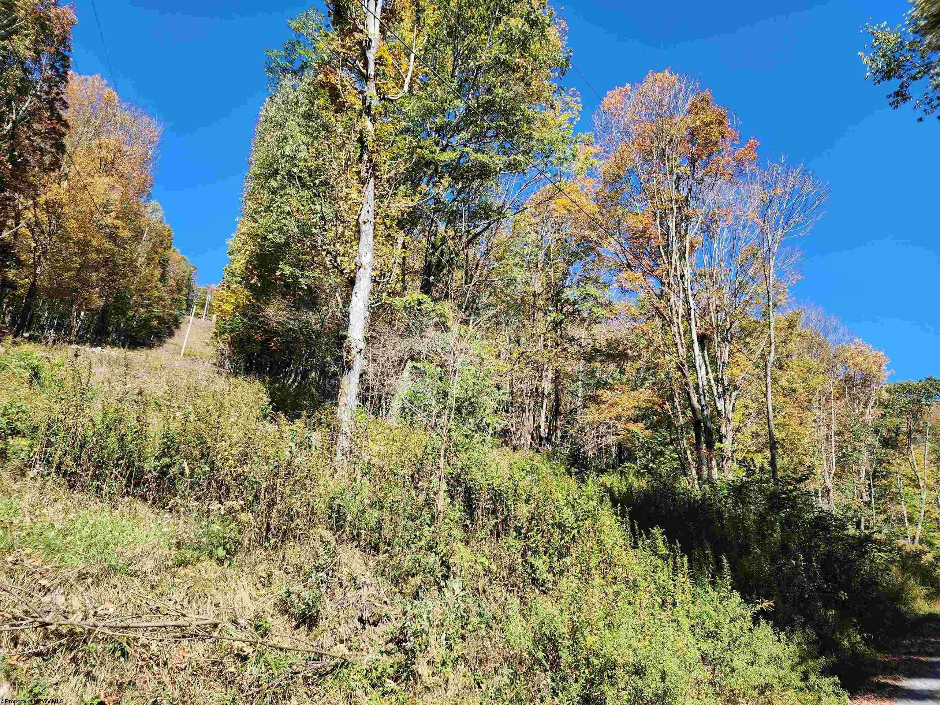 Property Photo:  22 E Meadows Road High Mtn  WV 26270 