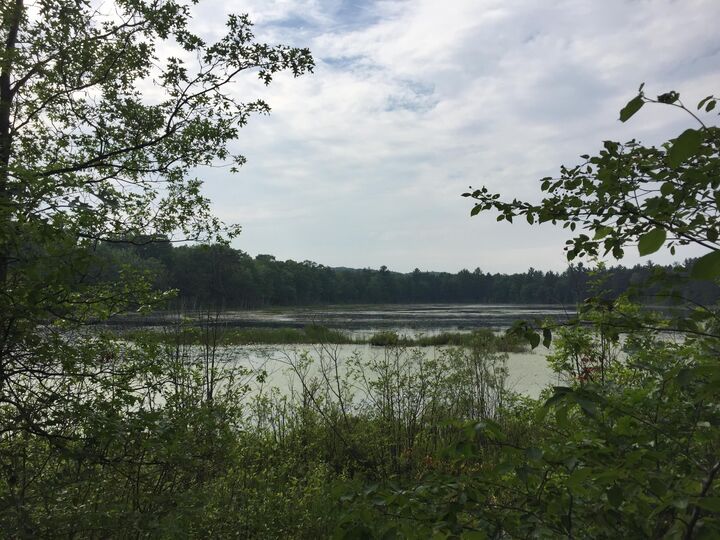 Property Photo: Dodge Lk Road MI 49735