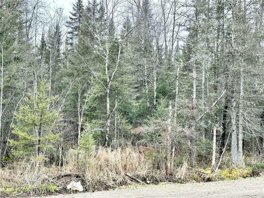 Property Photo:  Pt Lot 13 Janveau Road  ON P0H 1V0 