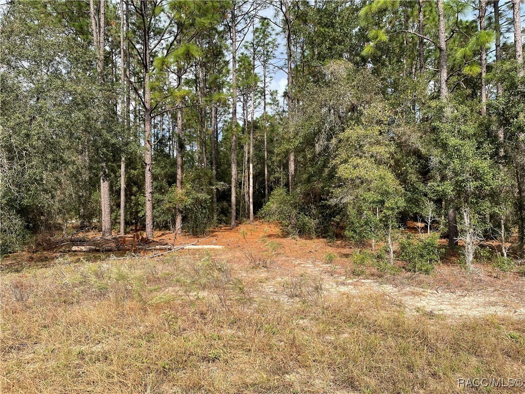 Property Photo:  0 59th Lane  FL 34431 