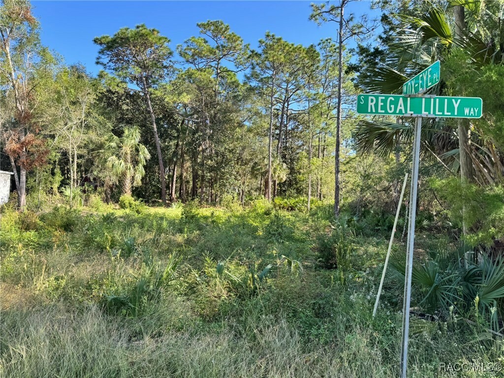 Property Photo:  7897 W Stuart Lane  FL 34448 