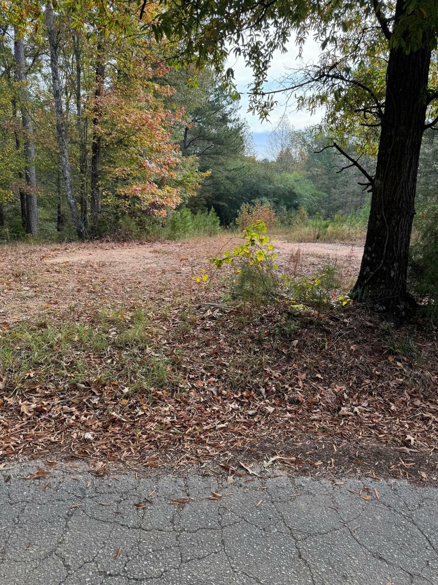 Property Photo:  Lot 8 Evans Cir  AL 35501 