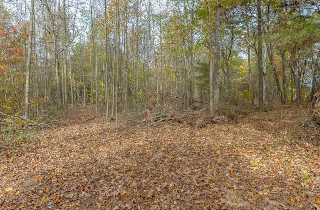 Property Photo:  Tract 10 Old Dalton Cleveland Hwy  GA 30710 