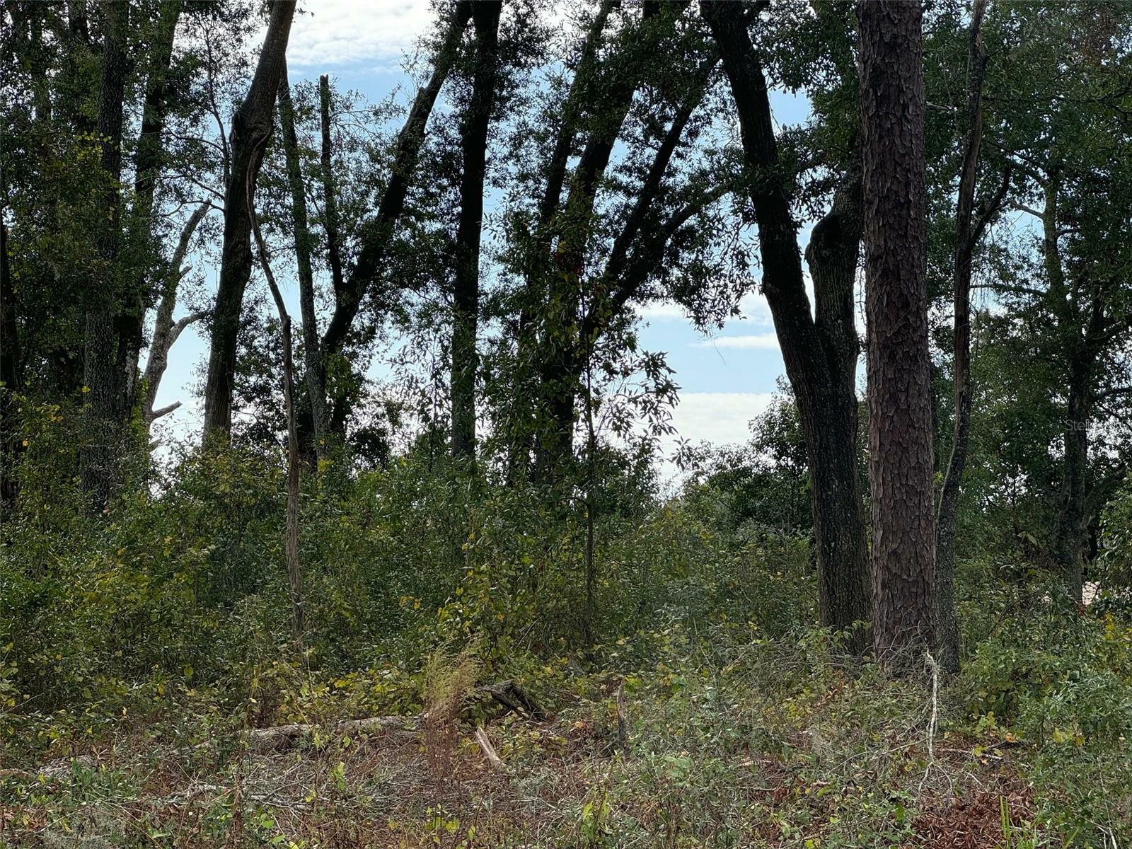 Property Photo:  Lot 13 &Amp 14 SW 177th Court  FL 34432 