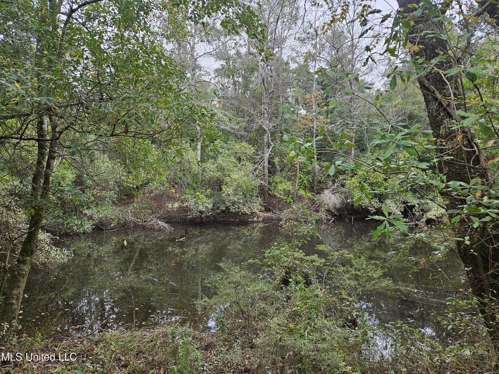 Property Photo:  River Road  MS 39532