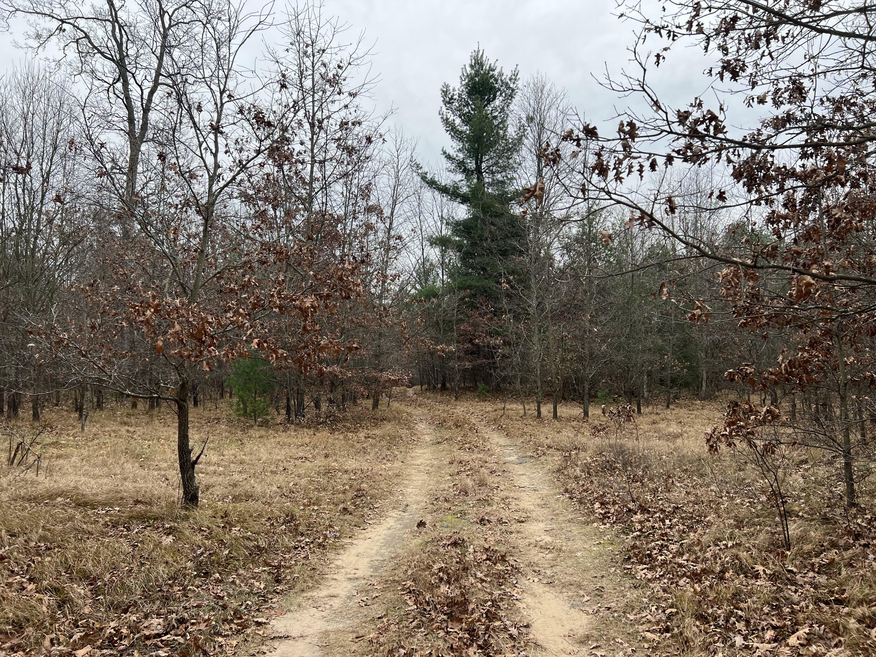 Property Photo:  Vl Whitehall Road  MI 49461 