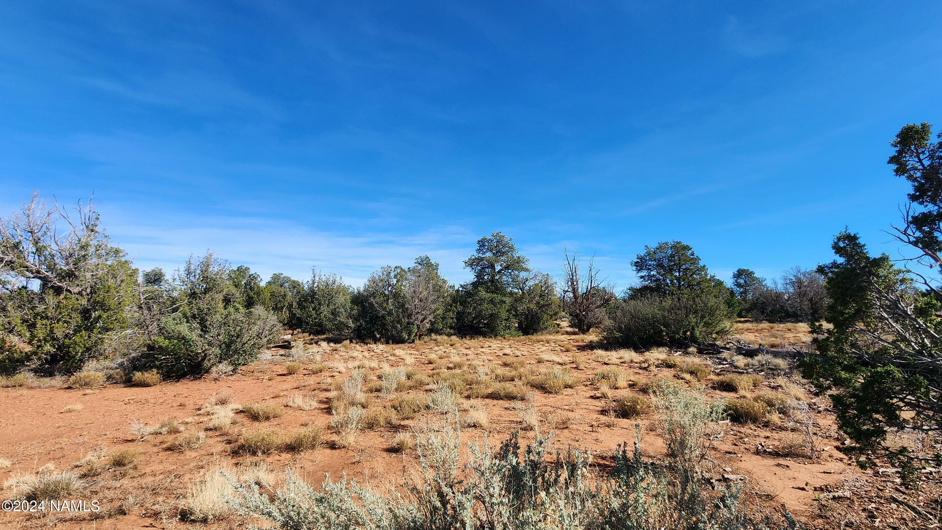 Property Photo:  2089 S Poppy Lane  AZ 86046 