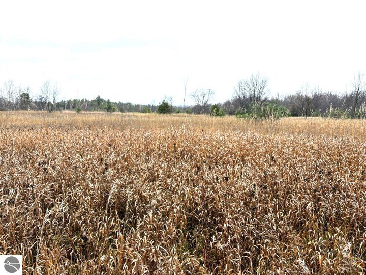 Property Photo: Unit 4 North Street MI 49683