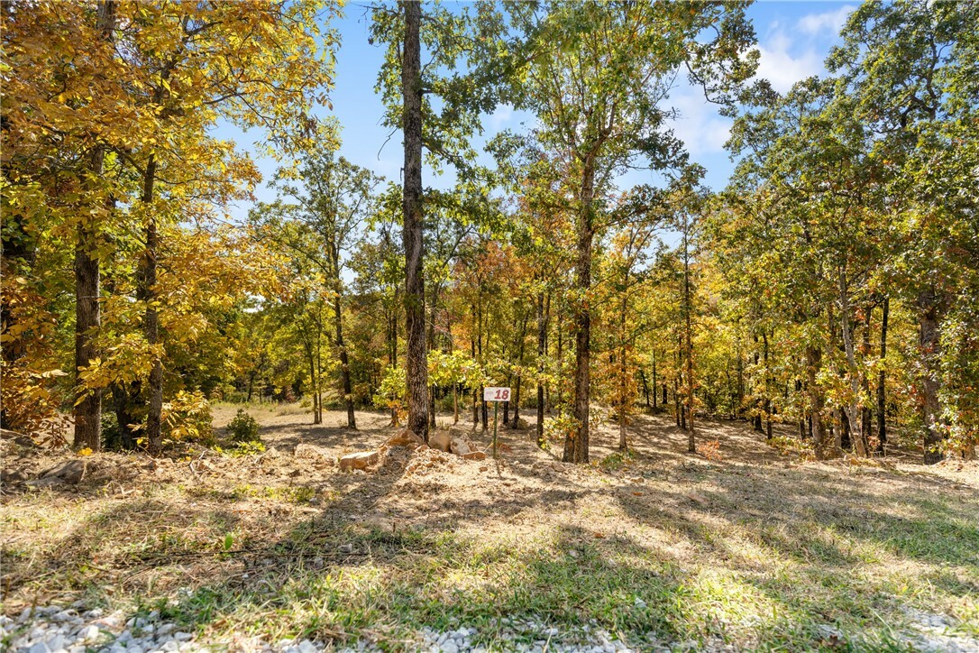 Property Photo:  Lot 18 Restore Ridge  AR 72601 