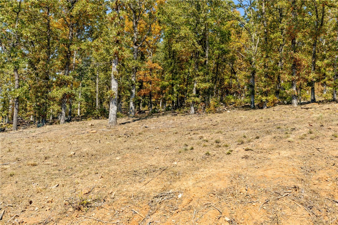 Property Photo:  Lot 22 Restore Ridge  AR 72601 