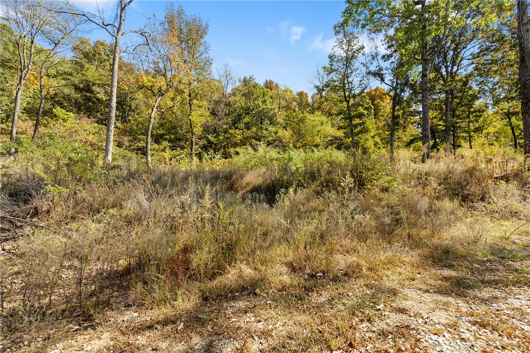 Property Photo:  Lot 50 Restore Ridge  AR 72601 