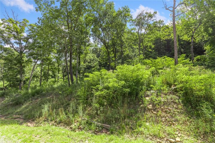 Property Photo: Lot 50 Restore Ridge AR 72601