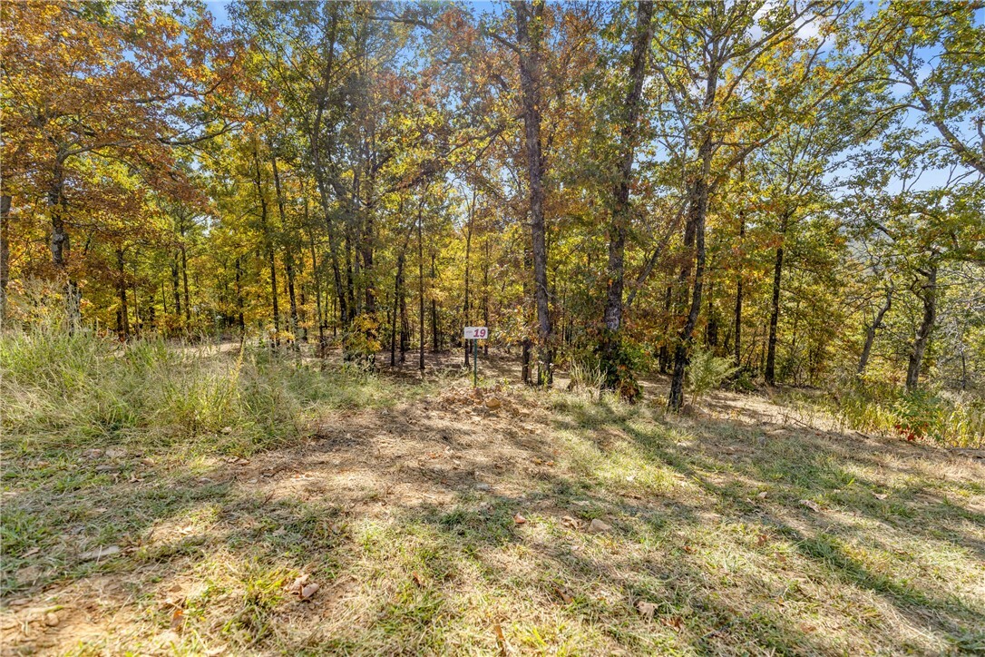 Property Photo:  Lot 19 Restore Ridge  AR 72601 