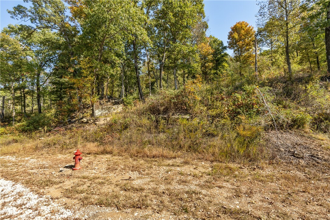 Property Photo:  Lot 47 Restore Ridge  AR 72601 