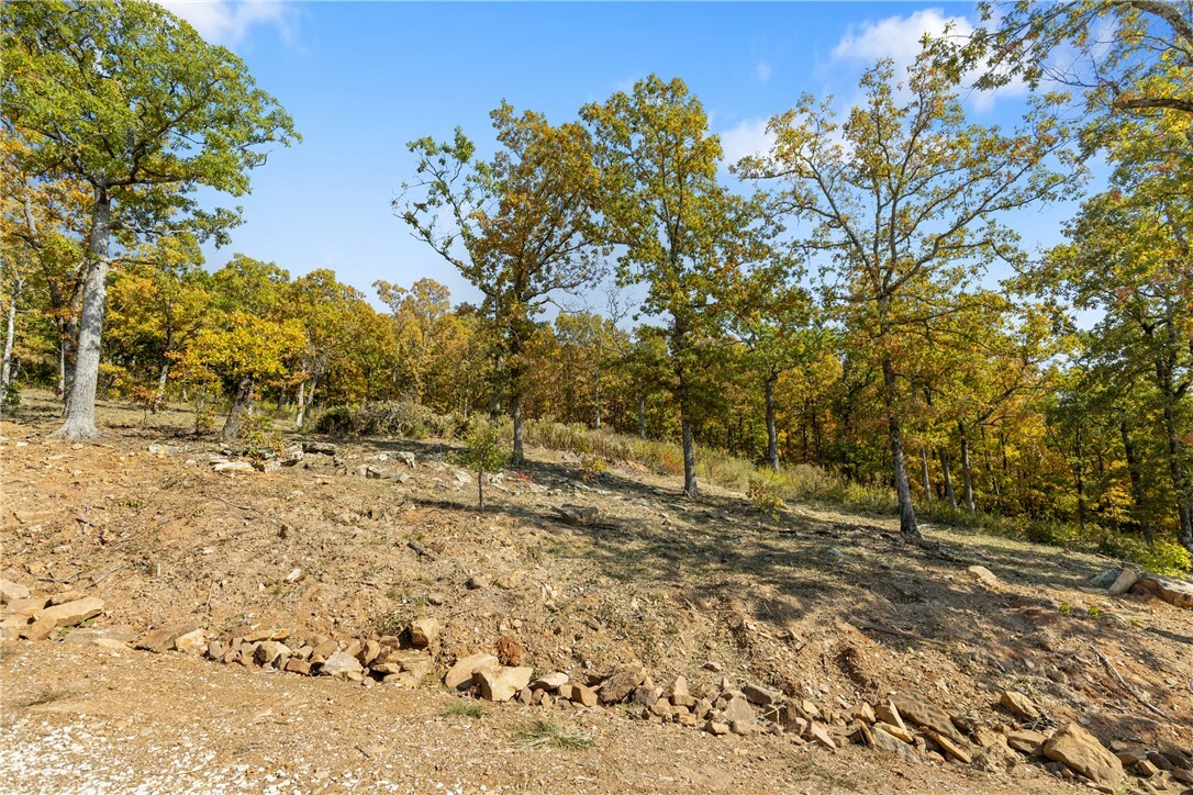 Property Photo:  Lot 15 Peaceful Place  AR 72601 