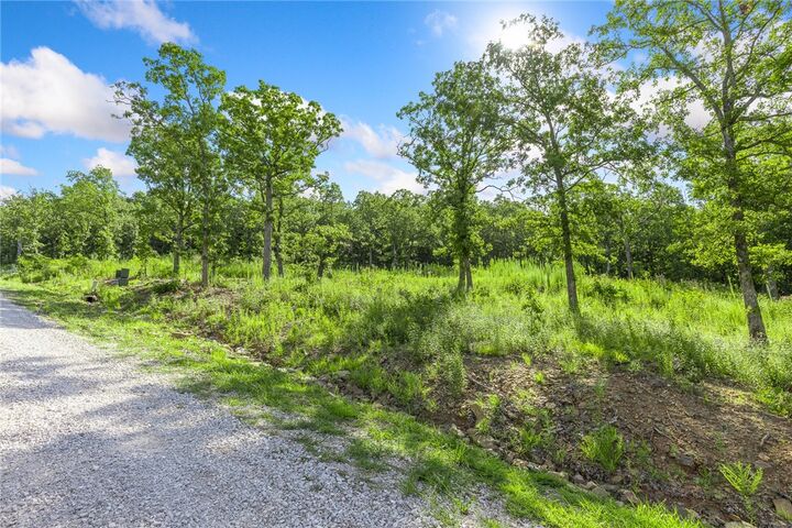 Property Photo: Lot 15 Peaceful Place AR 72601