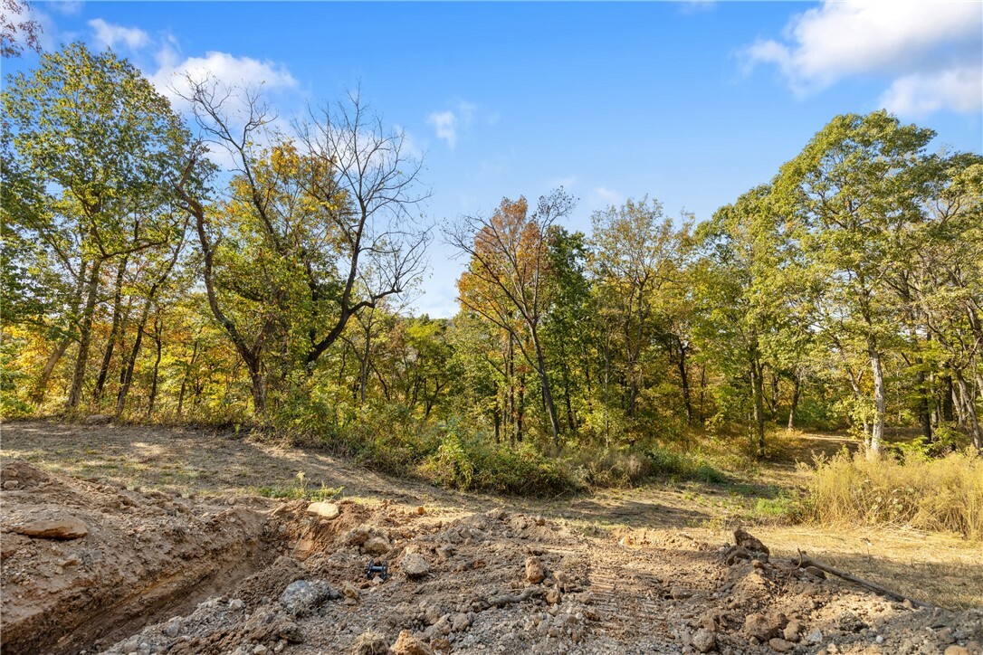 Property Photo:  Lot 34 Peaceful Place  AR 72601 