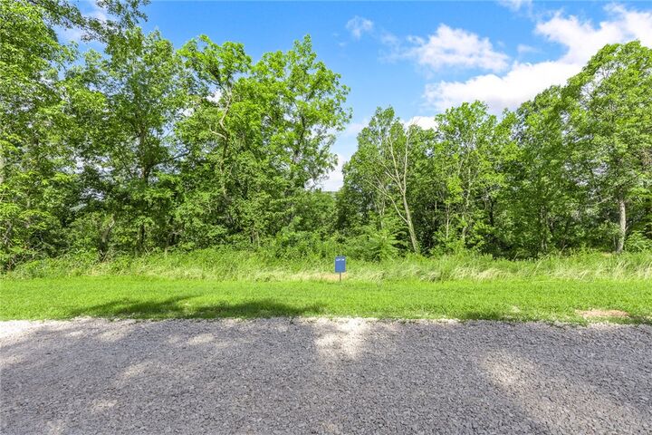 Property Photo: Lot 34 Peaceful Place AR 72601