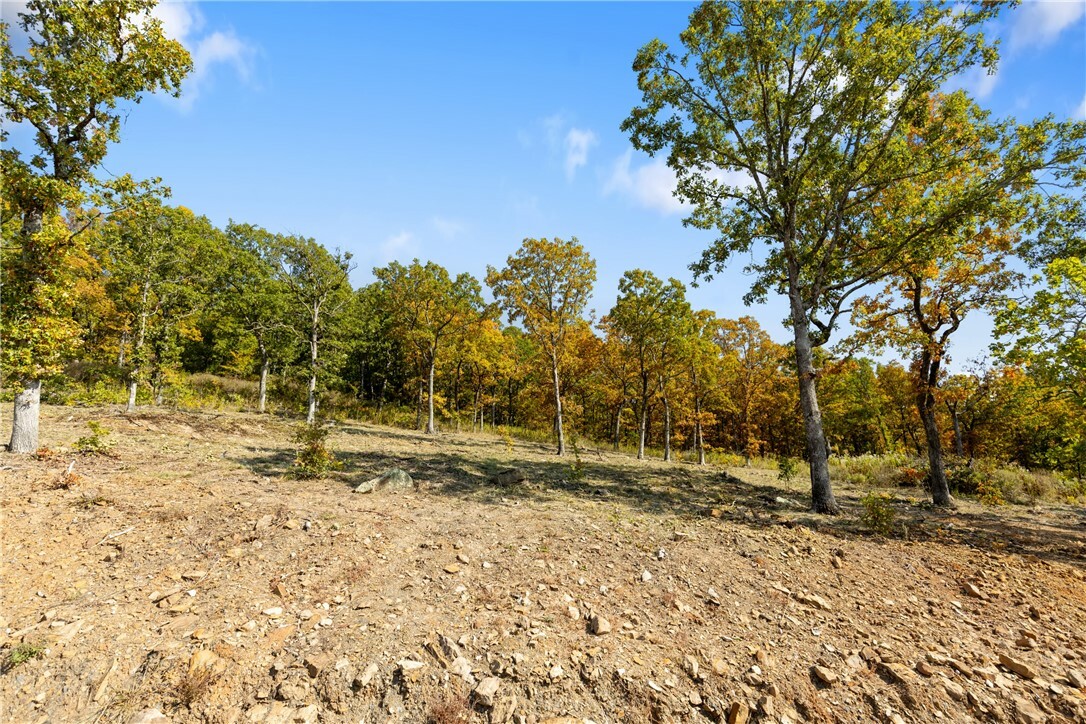 Property Photo:  Lot 14 Peaceful Place  AR 72601 