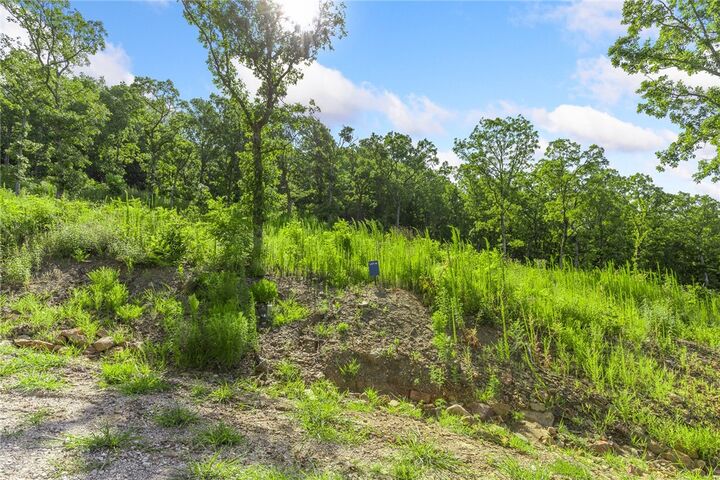 Property Photo: Lot 14 Peaceful Place AR 72601