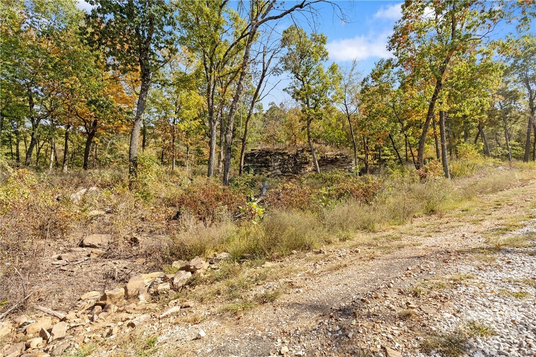 Property Photo:  Lot 49 Restore Ridge  AR 72601 