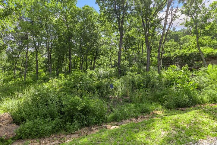 Property Photo: Lot 49 Restore Ridge AR 72601