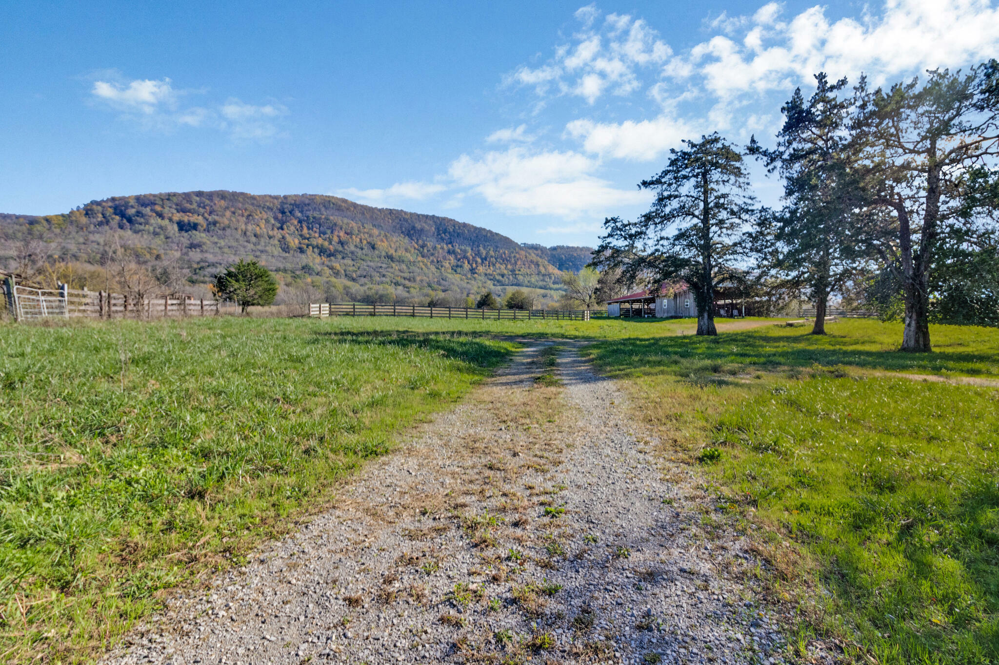 Property Photo:  188 Marion Agee Road  TN 37367 