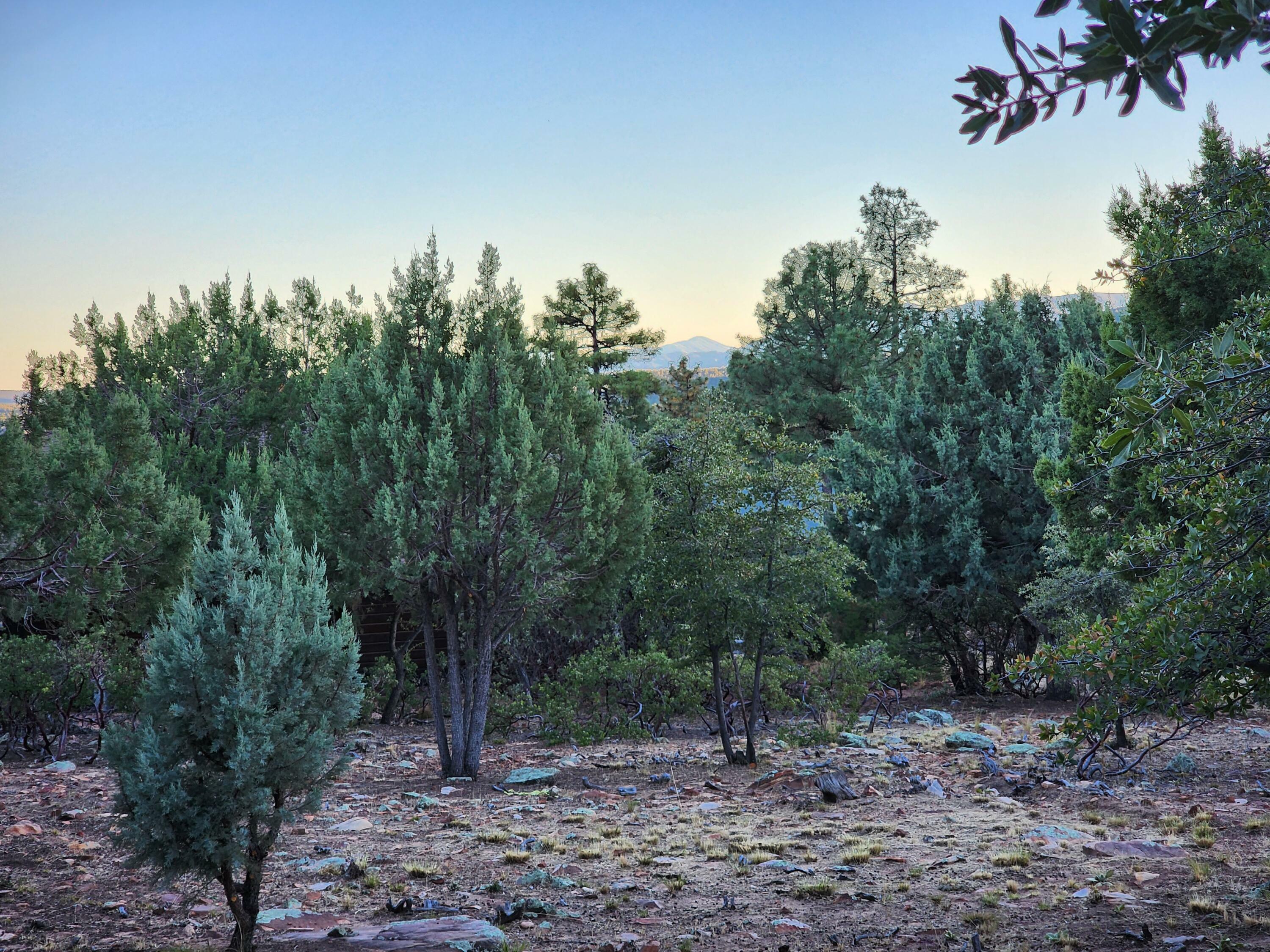 Property Photo:  148 Buffalo Run  AZ 85544 