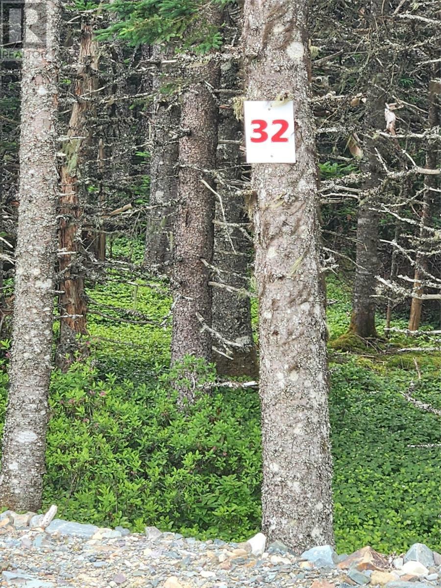 Property Photo:  Lot 32 Cloyne Drive  NL A1K 0R3 