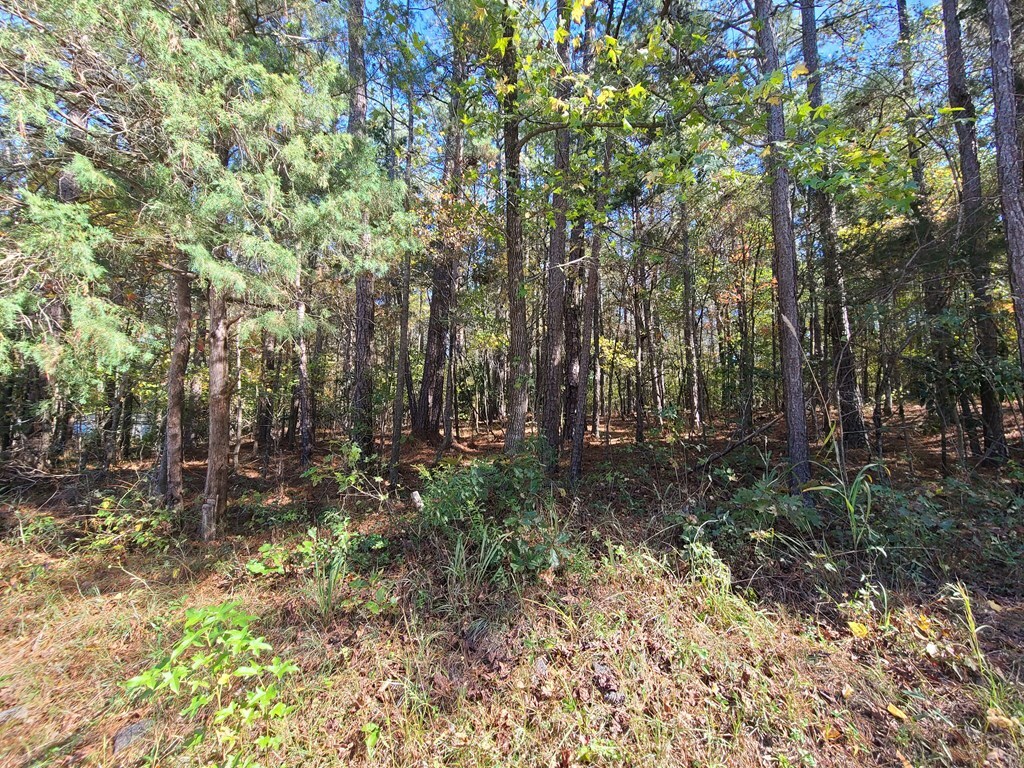 Property Photo:  Lot 38C Red Oak Drive  GA 31831 