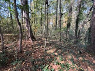 Property Photo:  0 Ryman Ridge Road  GA 30720 