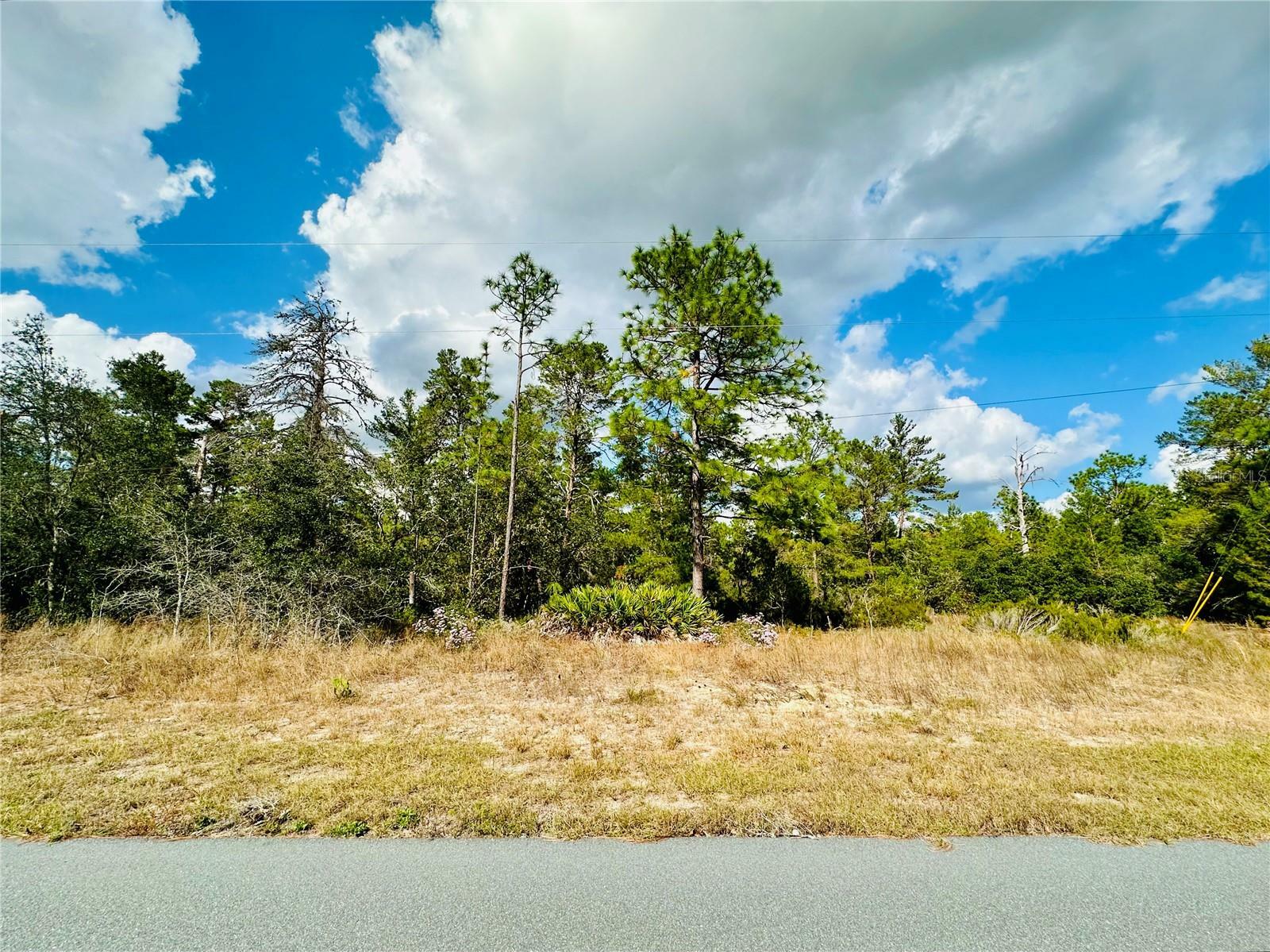 Property Photo: 4456 W Malaluka Circle FL 34433