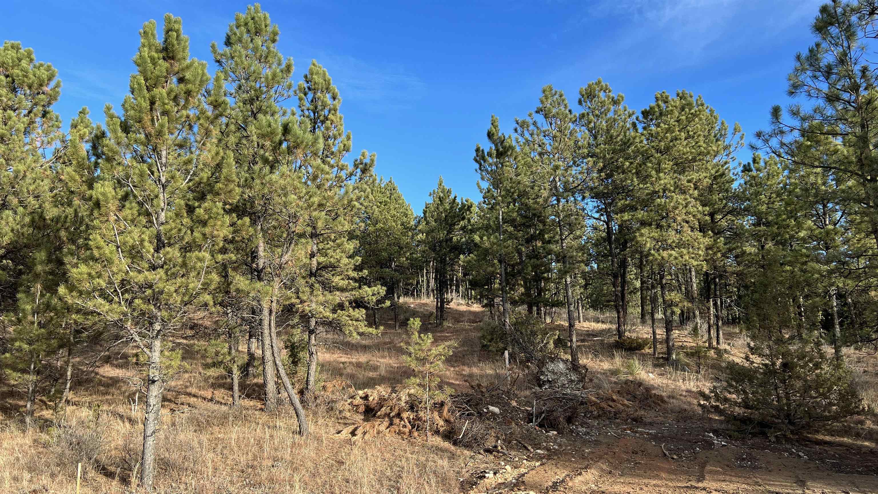 Property Photo:  Lot 11 Northview Court  SD 57747 