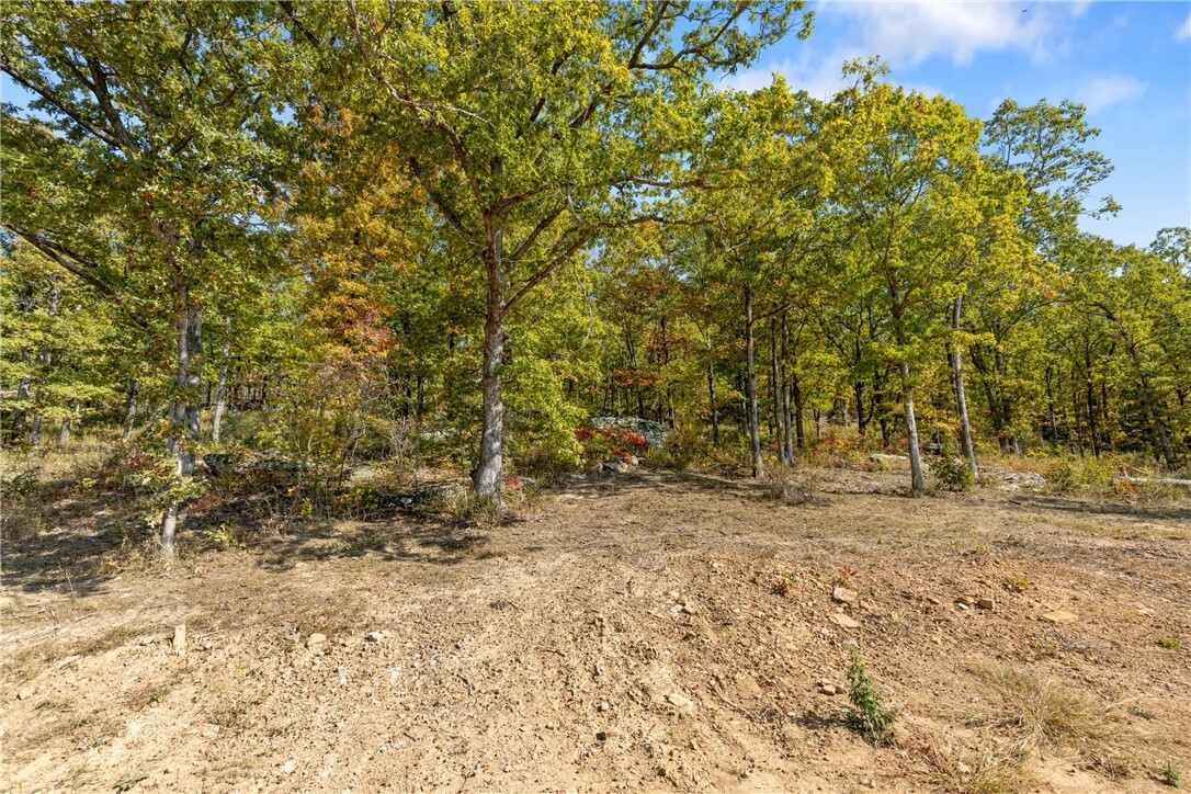 Property Photo:  Lot 61 Restore Ridge  AR 72601 