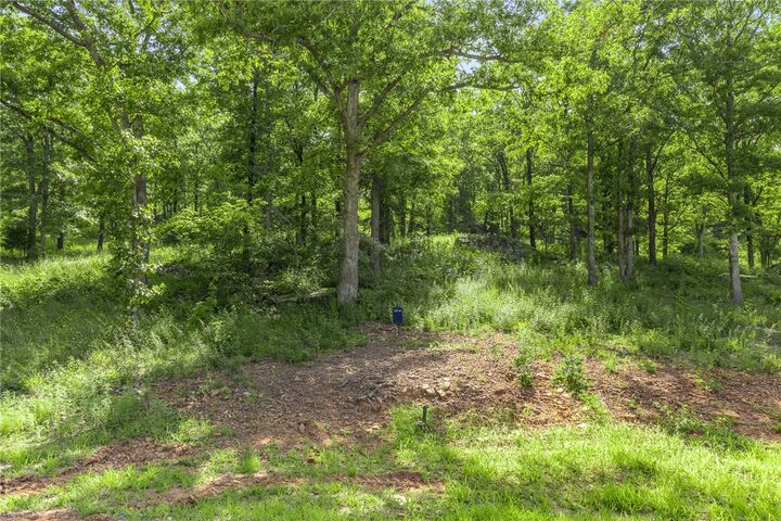 Property Photo: Lot 61 Restore Ridge AR 72601