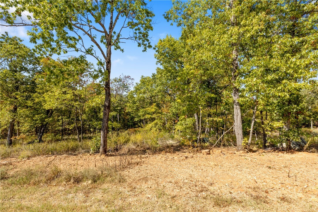 Property Photo:  Lot 84 Restore Ridge  AR 72601 