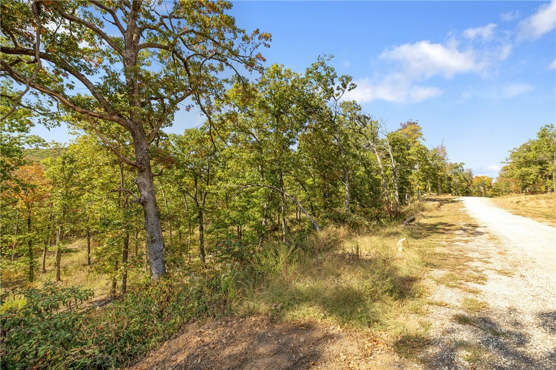 Property Photo:  Lot 66 Restore Ridge  AR 72601 