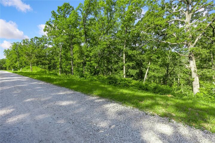 Property Photo: Lot 66 Restore Ridge AR 72601