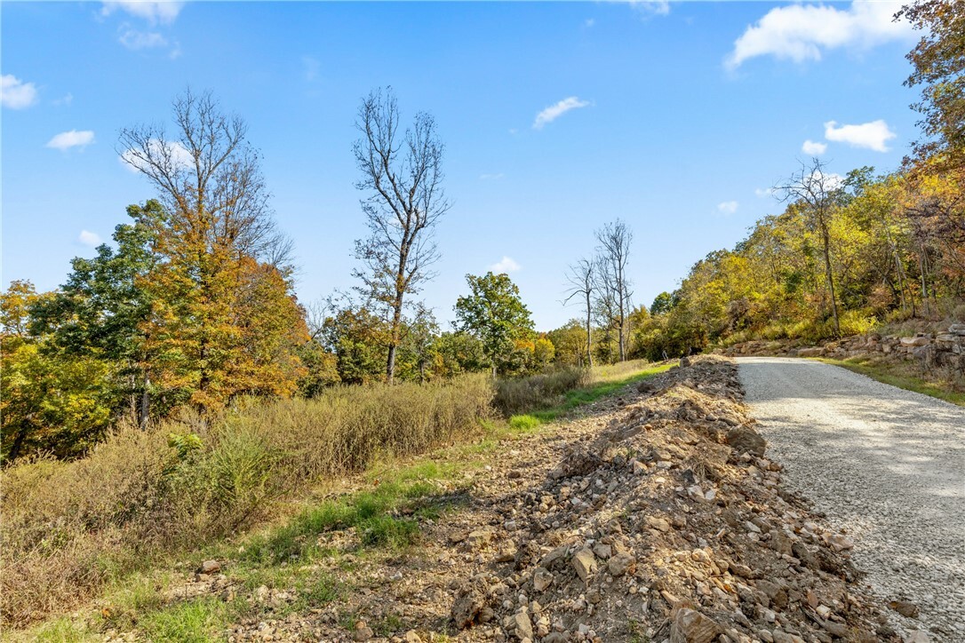 Property Photo:  Lot 93 Restore Circle  AR 72601 